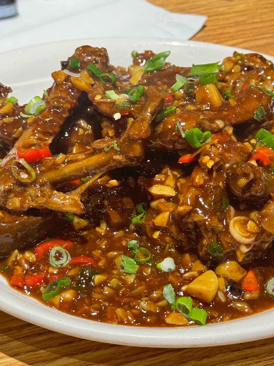 spicy braised beef tendon 辣烧牛筋
